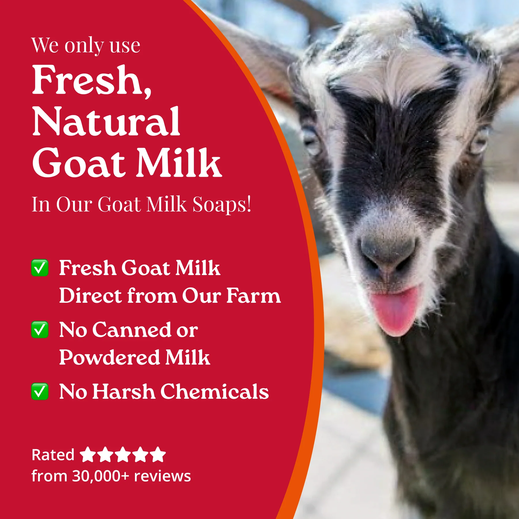 Peach Limited Goat Milk Soap - Image 7