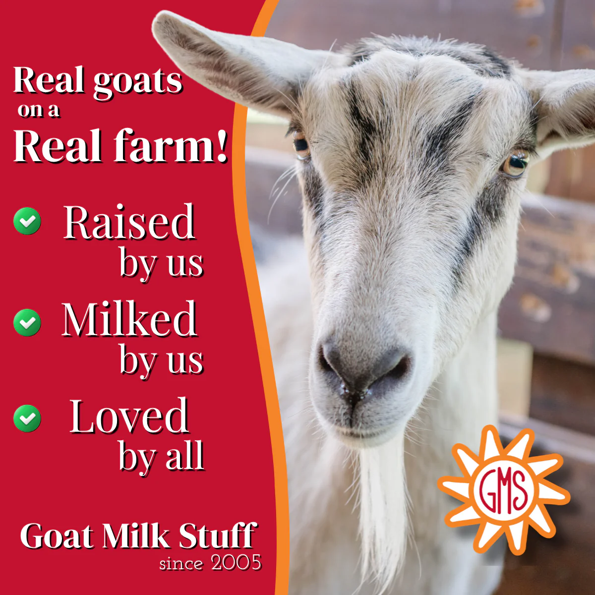 Lavender Goat Milk Soap - Image 5