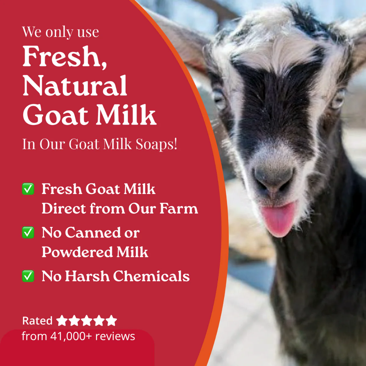 Lavender Goat Milk Soap - Image 10